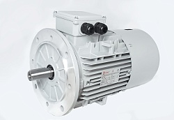 Электродвигатель АИС160L-6-Е 11kW F IP55 V380/660/50
