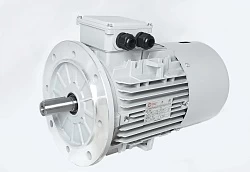 Электродвигатель АИС112L-4-Е 5.5kW F IP55 V220/380/50