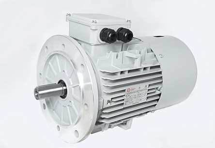 Электродвигатель АИС100LA-6-Е 1.5kW F IP55 V220/380/50